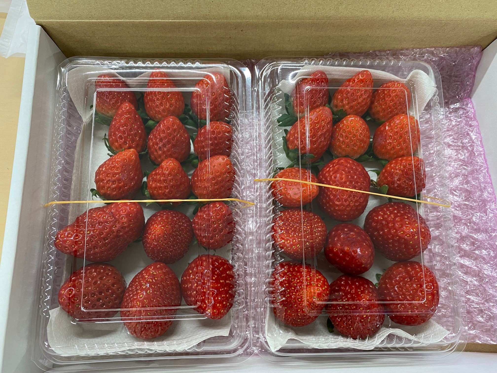 賞品のイチゴ